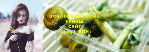 сатива Володарск