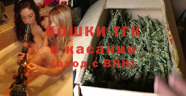 сатива Володарск
