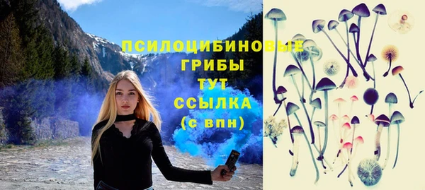 сатива Володарск
